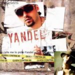 Yandel Ft. Tego Calderon - La Calle Me La Pidio MP3